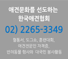 애견문화를 선도하는 한국애견협회 02-2265-3349 혈통서, 도그쇼, 훈련대회, 애견전문인 자격증, 반려동물 행사와 대국민 봉사활동