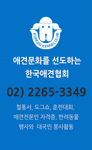 애견문화를 선도하는 한국애견협회 02-2265-3349 혈통서, 도그쇼, 훈련대회, 애견전문인 자격증, 반려동물, 행사와 대국민 봉사활동