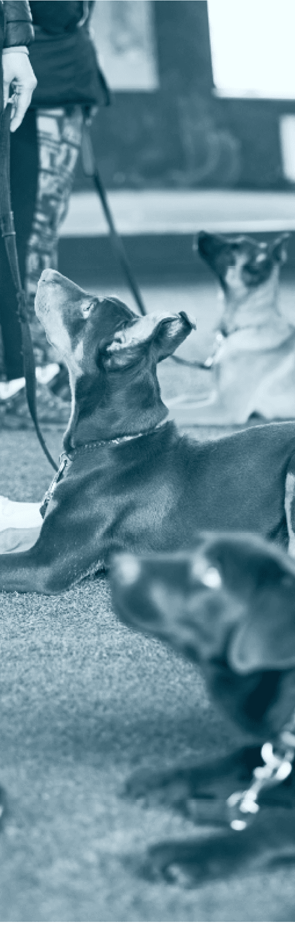 협회 소개 이미지